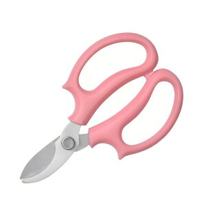 TOAURDA |nT~  oT~ | Kȃnht̒뙒͂ }؂oT~ p Ԃ̃AW ~ ʎ  뉀 ϗtA |H