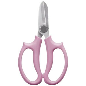 J[ Abindianzis |p͂ }؂ }؂͂ ~ 뉀 |֗ObYisNj