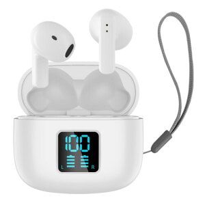 CXCz Cz BluetoothCz 2025ŐVu[gD[XCz EDR+Bluetooth5.3 Ji^ yAO ڑu nYt[ʘb }CN ^b` RpNg