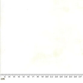 moda 30150-356 テクスチャ柄 シーチング ラッカープリント 生地 手芸用 ホワイト コンポジションホワイト Composition White (生地巾110cm×50cm)