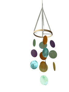 BEAGLE CAT VRLkEBh`C Jt Lk VF   킢 ݂艺^