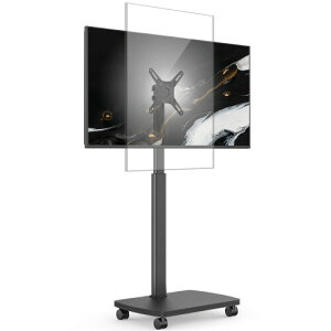 AOKCOS erX^h 19-42C`Ή LX^[t cΉ ړ X^uPbg er Ǌ ؐx[X ItFXp ubN FTC1203AWB