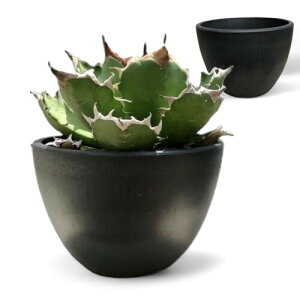 ieie  v }bgubN ubN|bg Eh^ 1 5mm  11cm×8cm Vv Vr[Ȏ ϗtA AKx򍪂 򍪐A vX`bN VZeBbN|bg Aؔ