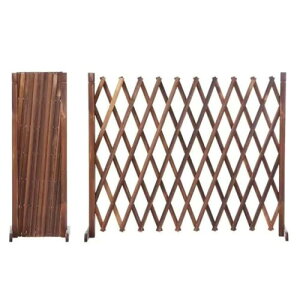 ̍ K[ftFX VR Lk  ؐ tFXE_ AR[fBI J[Q[g    eBXE_EQ[g (ZgpingpX^Cj,H100cm)