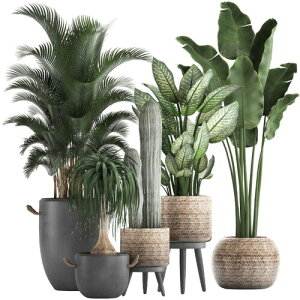 Condessacity EH[XebJ[ϗtA O[ A  iF ǎV[ ͂  k gsJ ǂĂ[ xbh[ rO[ 傫 EH[V[ plant