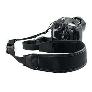 Jgbv ჌t & ~[XJplbNXgbv