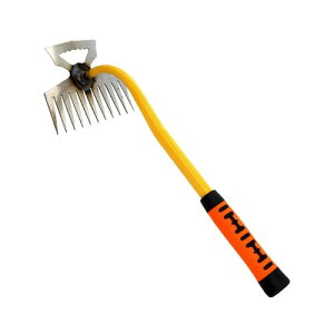 petsola [L F  蓹 _  G K[fjO Ԓd c 蓮@_ƒp [L F  蓹 _  G K[fjO Ԓd c