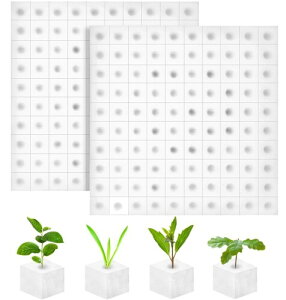 kX|WubN 100Zbg/200Zbg |E^X|W A̓X|W y͔||{|bg cؕcc[ (200Zbg)