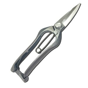 ː쏊   200~  p |p͂