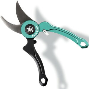 Kaiju Plant bVU[ (u`) XpbƐ؂ |pnT~ `^R[eBO AKx   T{e