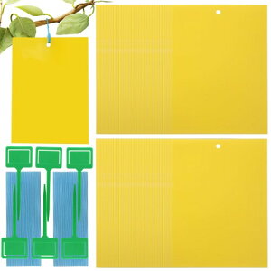 WD&CD ߒV[g 20*15cm 50 V[g nG Sgbv nG ԂƖ؂̊QߊlS ߂SV[g ʔS L ȒPt Aؔ  ΉiCG[j