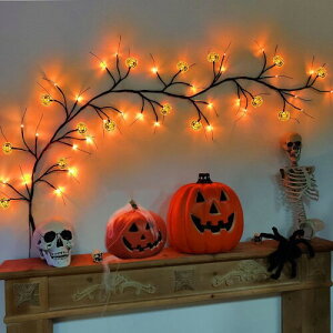 nEB Cg ڂ led   XgOCg ̑` C~l[V Cg J{` dr d CeA O  45 1.5m (J{`i1.5mj)