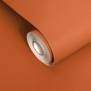 FOLU 壁紙シール おしゃれ つや消し(40CM×5M一巻)リメイクシート 貼って 剥がせる壁紙 補修 模様替え 多用途 壁がみシール のり付き 厚手 防汚 防カビ 耐熱 ?? かべがみ シート