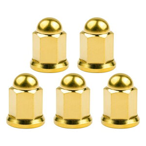 Ruifu 自転車用二輪車用チタンナットM6 M8 M10ドームヘッドフランジナット5個 (M6, ゴールド)