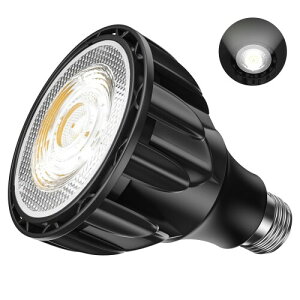 Pispoer LEDA琬Cg E26 v 24W tXyNg r[p38x Fn5800K ()