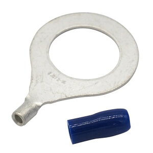 I[fBIt@ A}`Ap M^ڐA[X[q