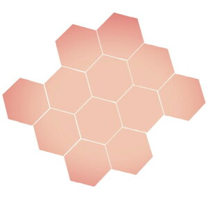 BIRLD EH[ ~[ XebJ[  \t  WALL MIRROR STICKER Ȃ Zp`  12 ( [YS[h ) STCY