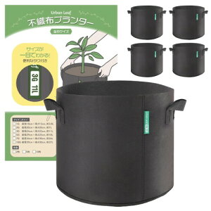 (Urban Leaf) sDzv^[ 10K 5Zbg (39cm×30cm) sDz|bg Jo[ n dD