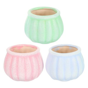 INOOMP �����A���p�� ���� �~�j�A�ؔ� 3�� �J�{�`���f�U�C�� ������������ �~�� ������ �C���e���A