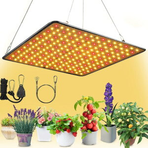 GREENSINDOOR A琬Cg led A Cg 400W gFn tXyNg Apled pl ȃGl  k͔|v A琬 ƒ؉ | ؍H t