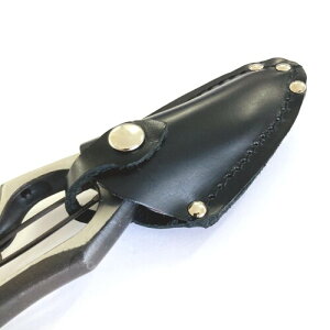 nTbN P[X n pTbN 180`230mm v {