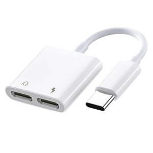 2in1ϊCzWbN }[dʘb\y 16bit/48KHz Hi-Fi Cz[d Rʘb Android/iPad/iPadPro /iphone15/16V[Y windowsȂǋ@ɓKp (Type-C+Type-C)