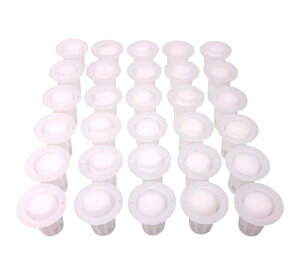 Happy Spring k͔| X|W Zbg (1#_30)