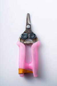 EhEGS |p͂ hN^[EJbg SAIKA Pro sN UDCUT-1202