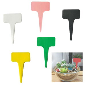 Tibemi |x T^ 5FZbg vc^O |pi h yɊȒPɑ}ł A ԙ ؗp-EsNEFE΁E||20×5F