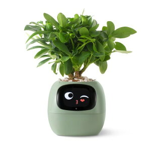 PLANTSIO X}[gybgv^[{bg Gt A̐b̃KC_X LȃWFX`[̑ݍp炵A̒ ƂfXNZbgAbvMtg (O