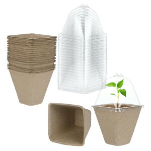 M METERXITY 20����̃s�[�g�|�b�g 3.15"�̐����`�̃K�[�f������Ȃ��|�b�g ���x�h�[���t�� �A��/��/���/�K�[�f�j���O�p�̎�܂��g���C(�ꌊ�Ȃ�)