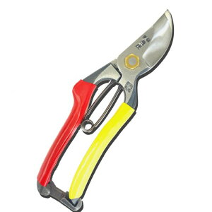 ː쏊   SR-2^ A-180 |p͂ p