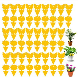 ߒV[g 50 ʔS hV[g V[g Sgbv nG ԂƖ؂̖hy[Xg QߊlS ߂SV[g h ȒPt ȃGl ɗD A