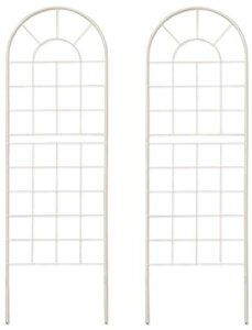 K[fK[f NVbNnCtFX [^Cv 150cm×50cm zCg 2Zbg ACAgX YBIF120CP2P-WHT