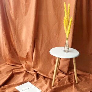 Lezalic wiz 300cm*240cm n n B Bep  ʐ^ pr Vtɂ obN XN[ X^WI z NX (JtFI)