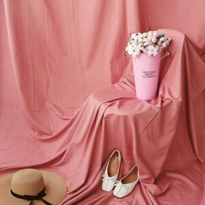 Lezalic wiz 300cm*240cm n n B Bep  ʐ^ pr Vtɂ obN XN[ X^WI z NX (R[bh)