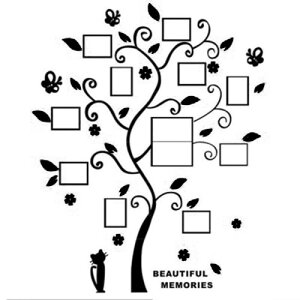 Sweeml EH[XebJ[ V[ tHgt[ ʐ^ Ǌ| \t ȒP ubN bh O[ CgO[ p[v  L lR  `E` X R t (M, ubN)