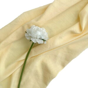 Lezalic wiz l 180cm*250cm n n B Bep  ʐ^ pr Vtɂ obN XN[ X^WI z NX (N[CG[)