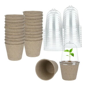 M METERXITY 40�p�b�N�̃s�[�g�|�b�g ���a2.36"�̊ی`�̃K�[�f������Ȃ��|�b�g ���x�h�[���t�� �A��/��/���/�K�[�f�j���O�p�̔���g���C(���Ȃ�)