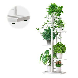 AKEMI LIVING t[X^h v^[X^h 5i |bN ACA Aؔ K[fbN X^h Vv   ԒuI  O