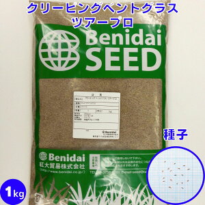 N[sOxgOX cA[v q ł̎ gf