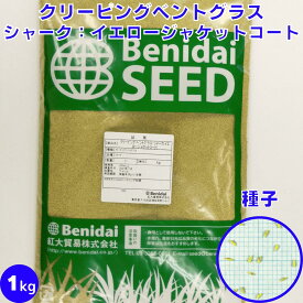 クリーピングベントグラス シャーク：イエロージャケットコート 種子 芝の種 紅大貿易