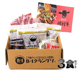 贈り物に！！最高級同士、究極の富士宮やきそば【金麺×岡村牛】3食セット！