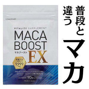Boost-UP �}�J�u�[�X�gEX 30����(90��) �����Y �T�v�������g �L�@�}�J �e�X�g�Q�C�� ���� �V�g������ �A���M�j�� �j�� MACABOOST EX