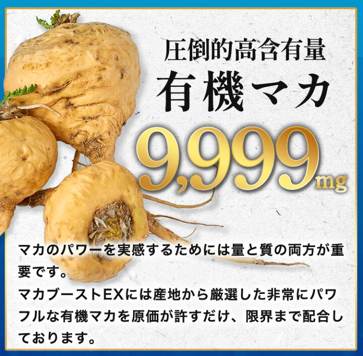 楽天市場】☆楽天市場OPENセール 50名限定 定期購入で84％OFF☆マカ 