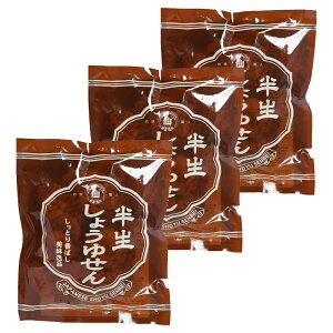 半生しょうゆせん(ぬれ揚げ煎餅) 80g×3個 煎餅屋仙七 煎餅 せんべい ぬれ 醤油味 しょうゆ せんべいやせんしち 人気 ギフト お取り寄せ 行列のできる相談所