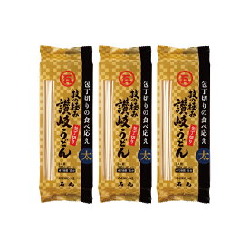 石丸製麺 技の極み 讃岐うどん 包丁切り 300g×3個 うどん 饂飩 乾麺 サタプラ サタデープラス ランキング