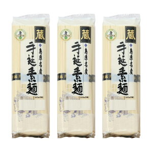  艄f  300g×3 ߂ f   LO T^v T^f[vX