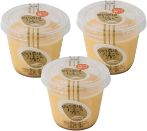 __ꂽ܂̃v 3 v  T^v T^f[vX Ђ玎ăLO