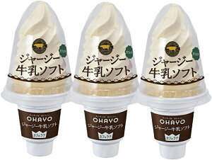 オハヨー ジャージー牛乳ソフト カフェラテ ×3個 アイス バニラ アイスクリーム コーン 冷凍 サタプラ サタデープラス ひたすら試してランキング